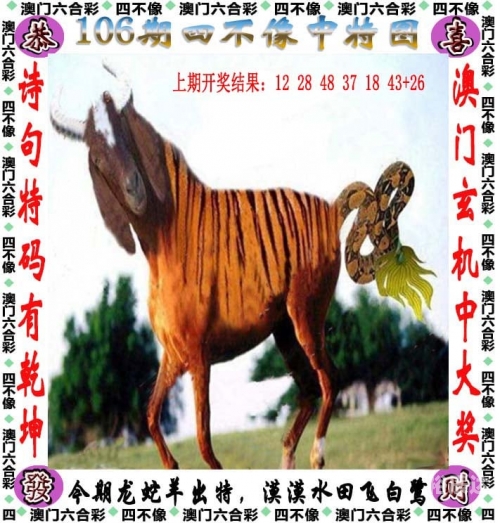 澳门马会免费资料大全