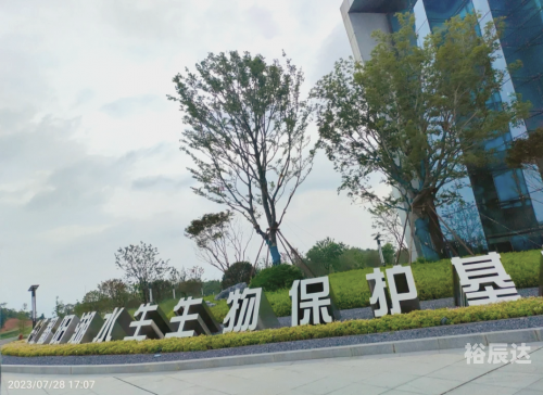 大连东海手机论坛大连东海手机论坛，探索科技与生活的新交汇点-第1张图片