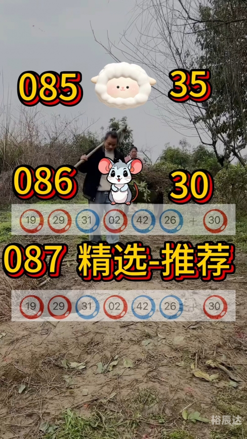新澳精选，资料免费提供服务-第2张图片