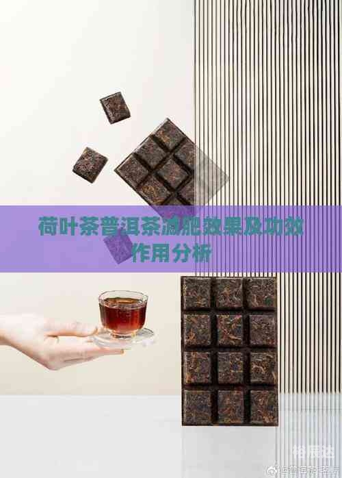 荷叶茶减肥效果荷叶茶减肥效果研究-第2张图片