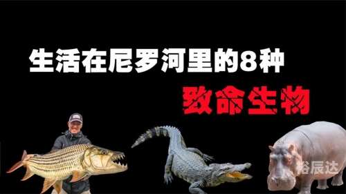 蟒生异界
