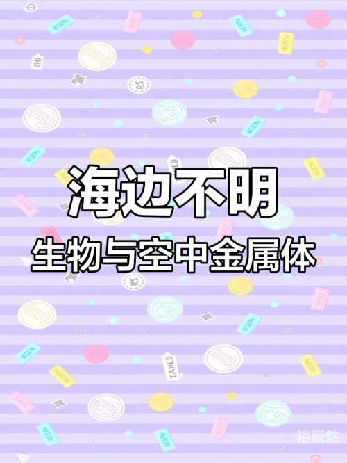 吼吼鲸进化吼吼鲸，海洋中的神秘生物-第2张图片