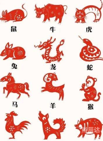 2024澳门今天晚上开什么生肖啊生肖号码图2024澳门今晚开生肖揭秘