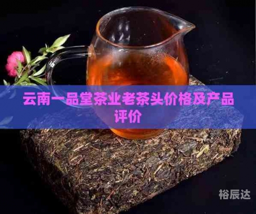 一品堂经典论坛官网一品堂经典论坛，探索网络交流的新天地-第2张图片