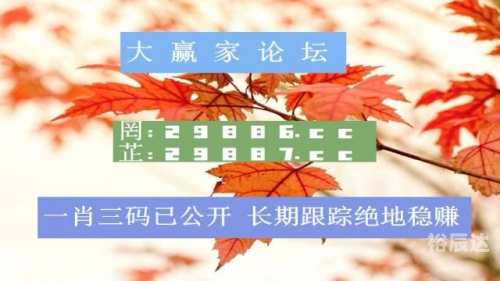 澳门最准一肖一码100%的特点澳门最准一肖一码，预测与策略-第3张图片