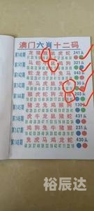 澳门2023开奖历史记录查询结果-第3张图片