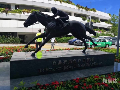 香港赛马会最新消息