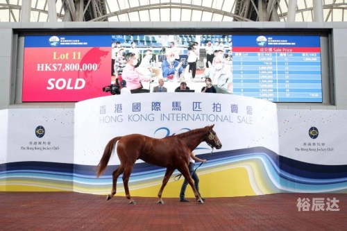 13262cc马会正版图片2023年版臭订一点红13262cc马会正版图片概览