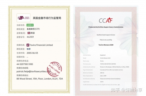 金金网金金网，引领金融科技新时代