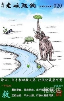 二四六图片玄机二四六图片玄机-第1张图片
