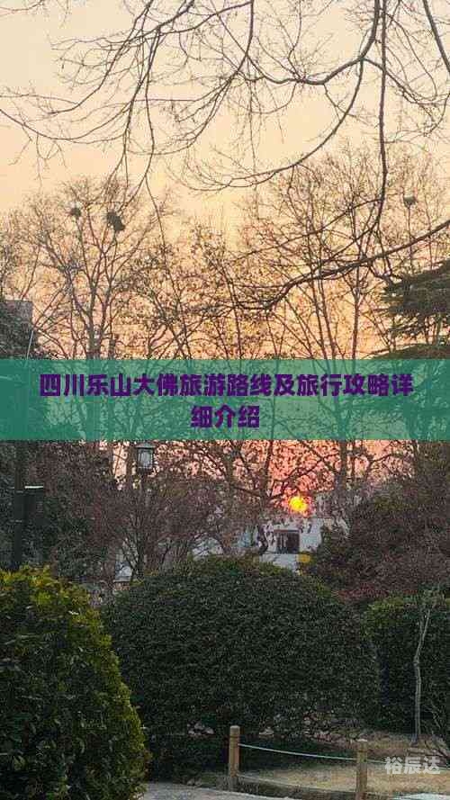 乐山大佛旅游路线的顺序乐山大佛旅游路线攻略-第1张图片