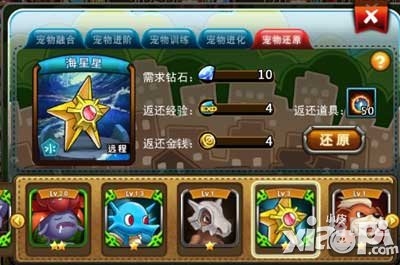 宠物小精灵珍珠攻略-第3张图片