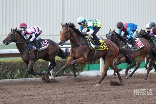 香港赛马会免费资枓网香港赛马会免费资源网，探索无限可能