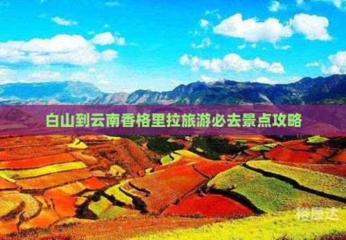 白山娱乐场所哪里好玩白山娱乐，城市文化的新名片-第1张图片