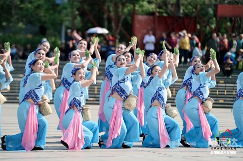 最新广场舞2025最新广场舞2013，活力四溢的舞蹈盛宴-第1张图片