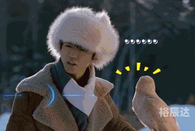 中国鹰猎中国鹰猎，探寻自然与精神的双重魅力