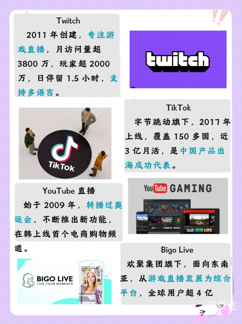 本港台现场直播下载本港台现场直播，实时报道与互动体验