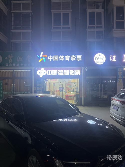 彩票总站，探索彩票的世界