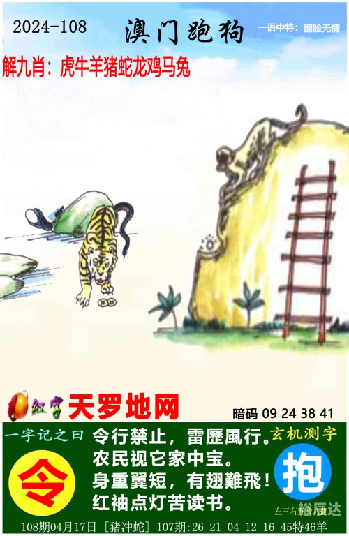 新澳门精准资料大全