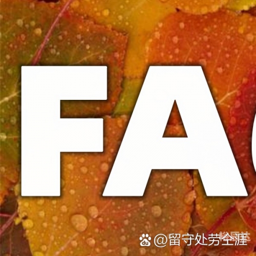 英皇网站游戏英皇网站，引领行业新风潮