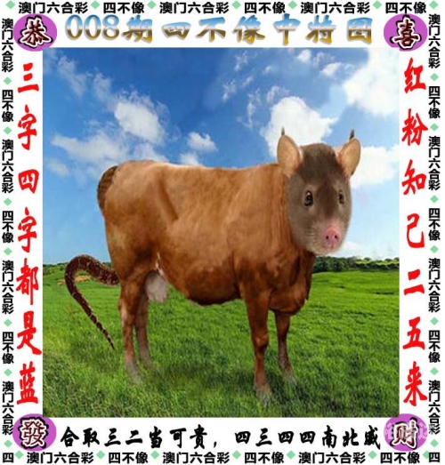 246天天好彩9944cc，彩纷呈的幸运时刻-第3张图片