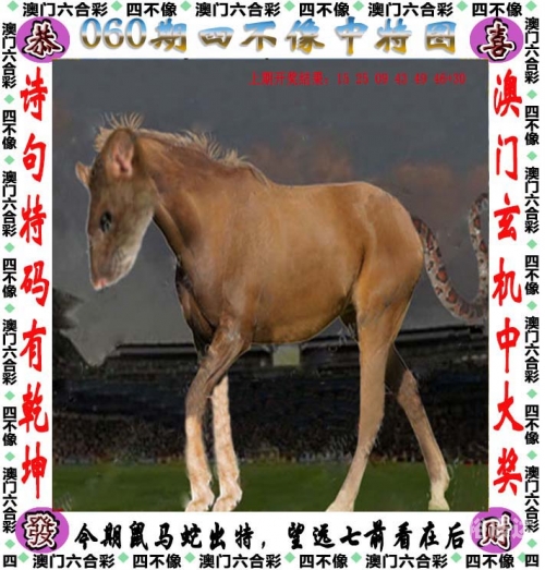 246天天好彩9944cc，彩纷呈的幸运时刻