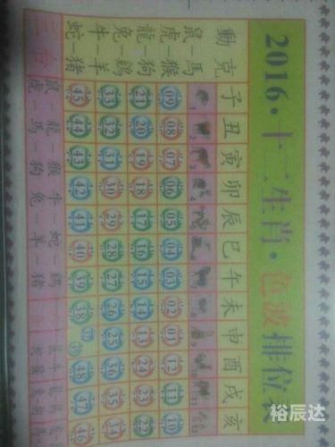 2023年生肖49码图-第1张图片