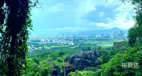东山岭东山岭之旅-第3张图片