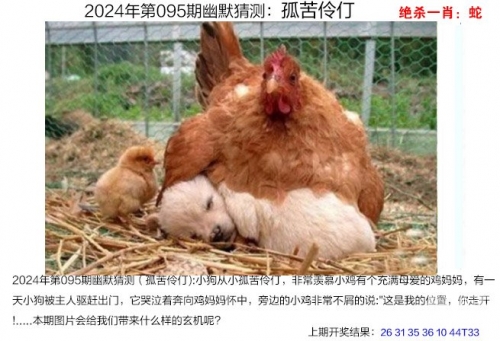 澳门特马2024年资料图五十九期