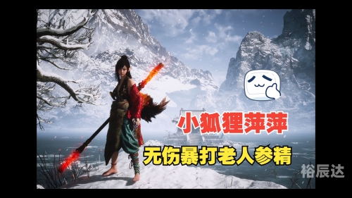 狐狸雨-第2张图片