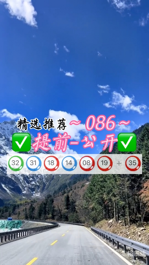 新澳门2024年资料大全，官家婆版