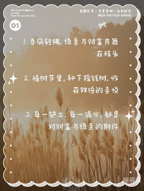 摇钱树心水忪坛334435摇钱树心水忪坛334435，探索神秘之地-第1张图片