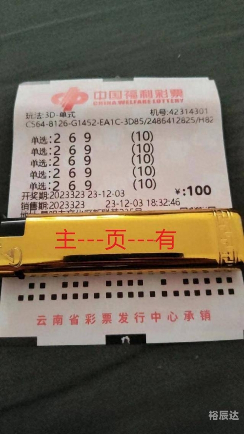 3d试机号今天晚上金码号3d开奖今晚金码3D试机号揭晓，探索3D时代的神秘魅力-第2张图片