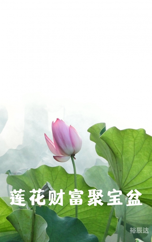 聚宝盆心水论坛聚宝盆心水论坛，财富与智慧的交汇之地-第3张图片