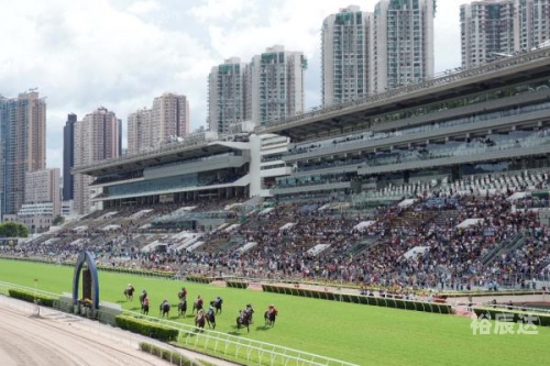香港赛马协会香港赛马协会，引领香港赛马文化的新篇章
