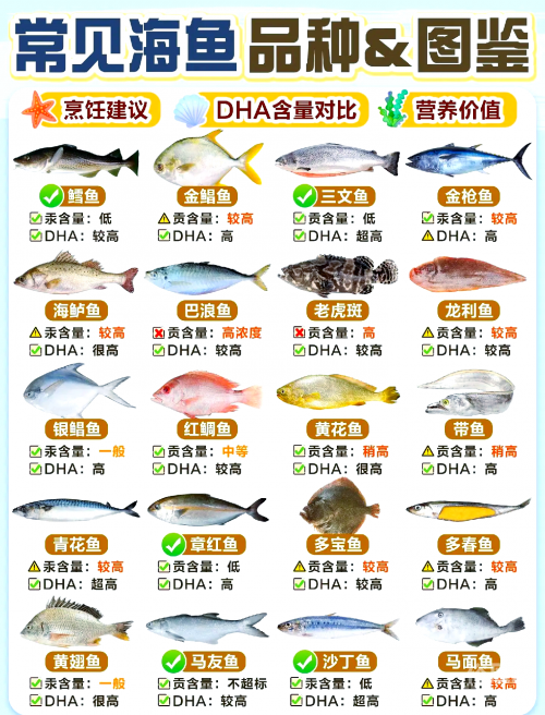 烹饪1-525攻略烹饪1-525攻略-第2张图片