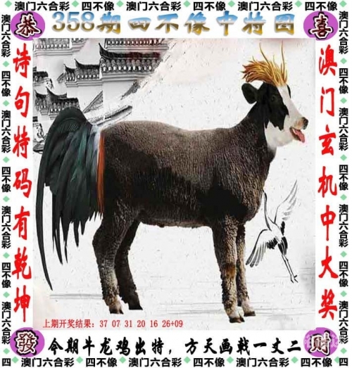 246天天好彩9944cc，彩纷呈的幸运时刻