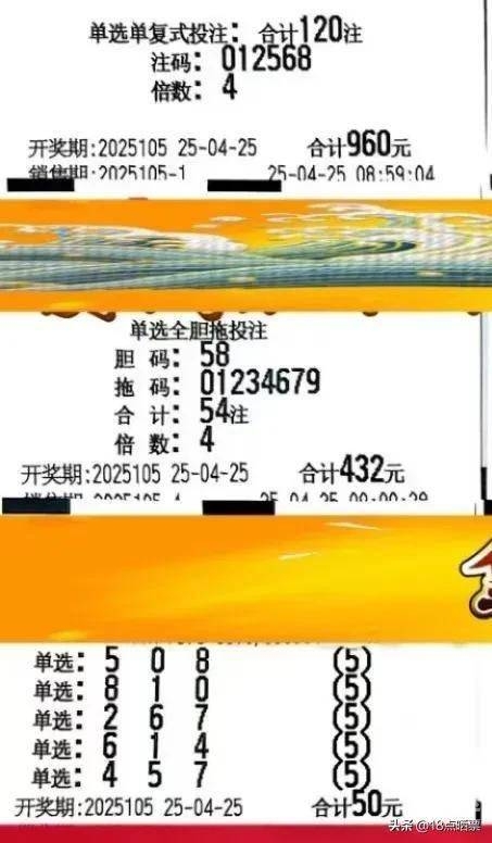 3D今晚单挑一注50倍今晚3D单挑注50倍揭秘