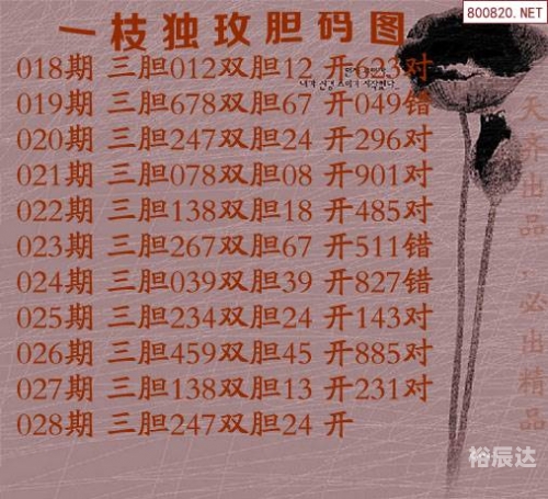 3d专业走势图表3D专业走势图，引领专业版图的新篇章