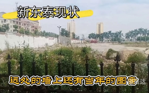 新东泰事件地新东泰事件概述