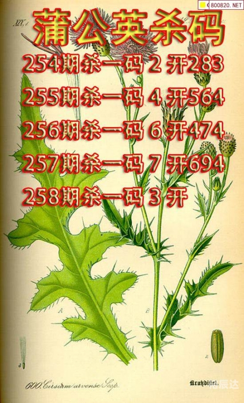 2023年澳门资料大全正版资料258期手机258教你2023年澳门资料大全正版介绍-第3张图片