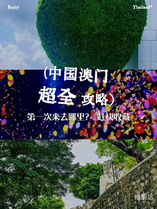 打开澳门网站免费资料大全一打开澳门网站免费资料，探索无限资源-第2张图片