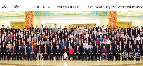 2018马会免费资料大全