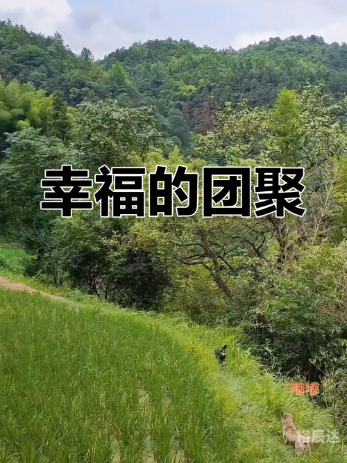 幸福宝官网首页，探索幸福之路-第2张图片