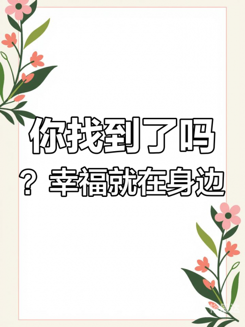 幸福宝官网首页，探索幸福之路