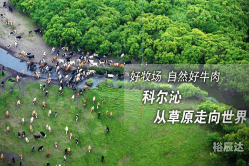 一起牛吧微信公众号一起牛吧，探索牛业新天地-第2张图片