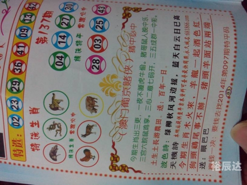 今日特马，今日之亮点与新发现-第3张图片
