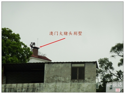 澳门码黄大仙资料大全-第2张图片
