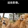 万彩吧万彩吧，探索数字创意的无限可能-第2张图片