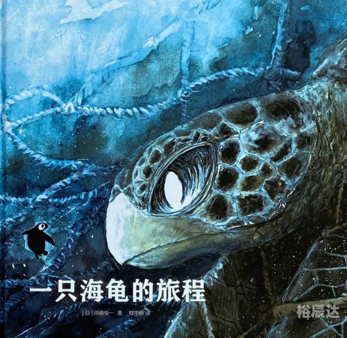小海龟的奇妙世界